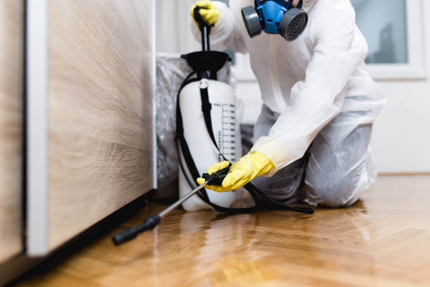 Best Exterminator Services  in Apple Valley, CA