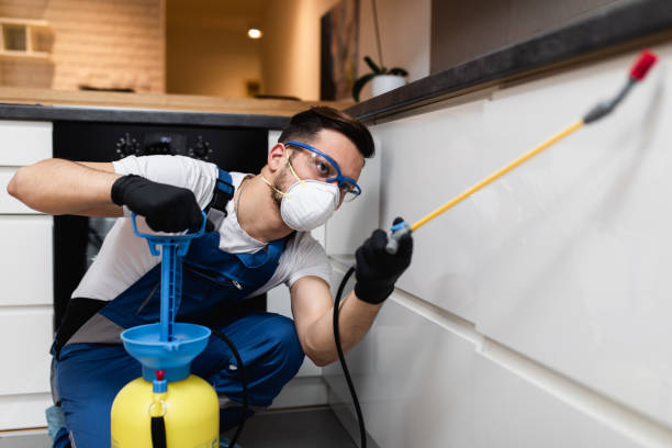 Best Flea Control Services  in Apple Valley, CA