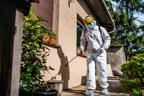 Best Wasp Removal Services  in Apple Valley, CA