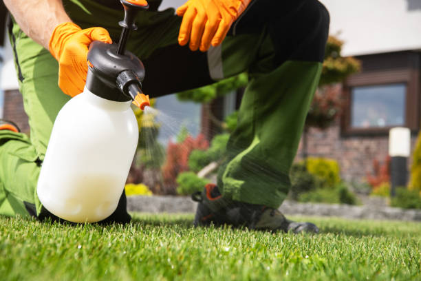 Best Pest Control Treatment  in Apple Valley, CA