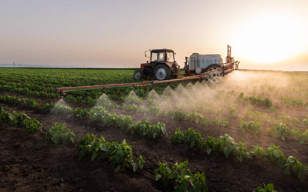 Best Commercial Pest Control Services  in Apple Valley, CA
