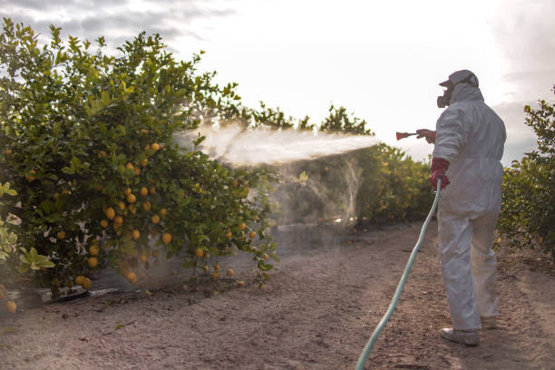 Best Wildlife Control Services  in Apple Valley, CA