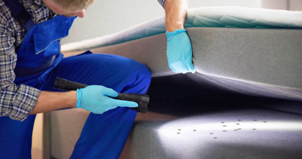 Best Exterminator Services  in Apple Valley, CA