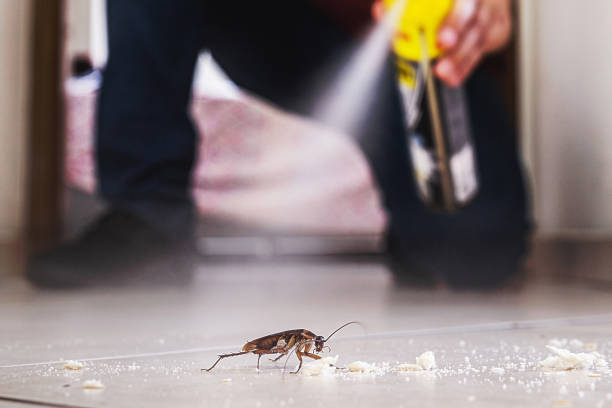 Trusted Apple Valley, CA Pest Control Experts