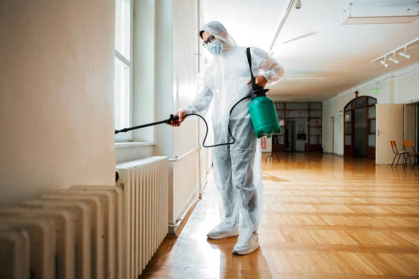 Best Best Pest Control Companies  in Apple Valley, CA