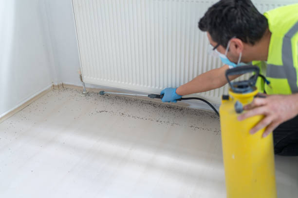 Pest Control for Restaurants in Apple Valley, CA